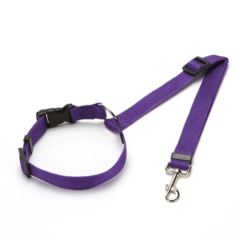 PetJoy Car Seat Belt