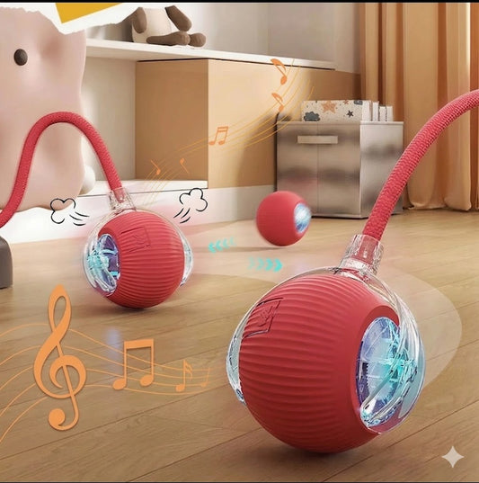 PetJoy Cat Ball