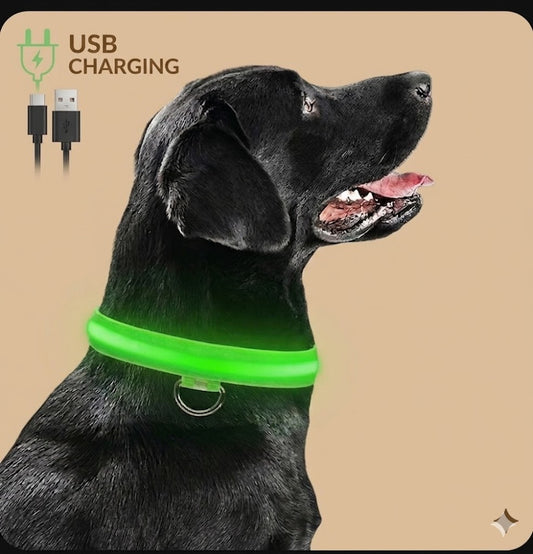 PetJoy LED Dog Collar