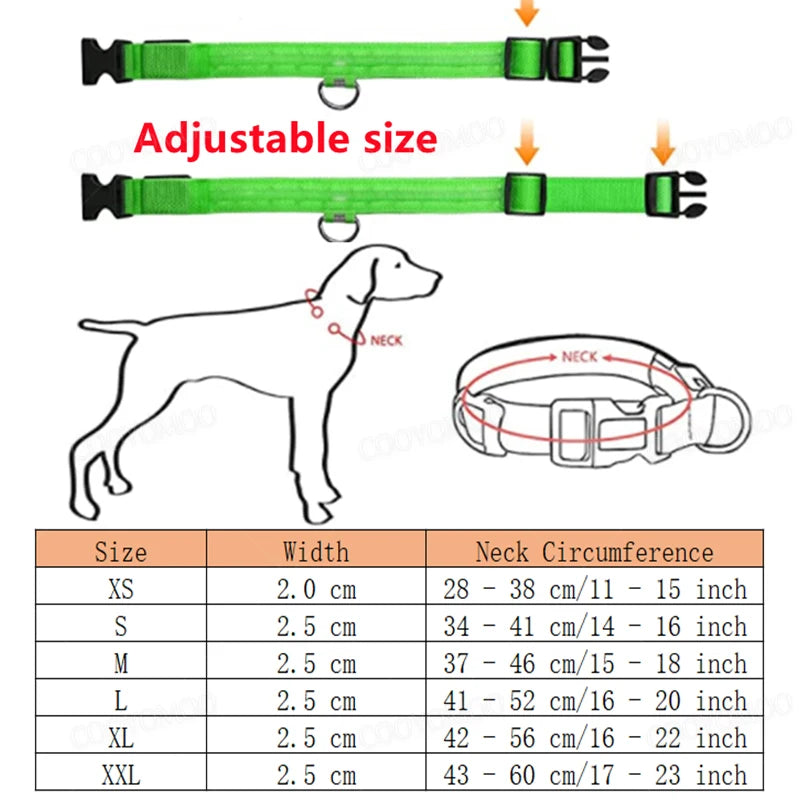 PetJoy LED Dog Collar