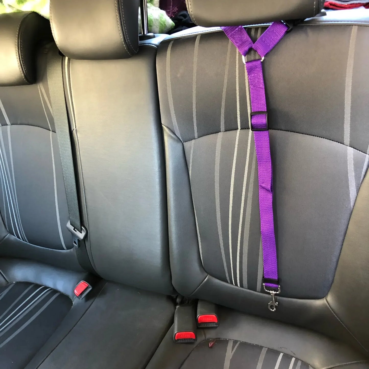PetJoy Car Seat Belt