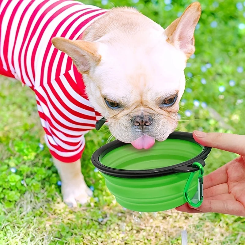 PetJoy Travel Bowl