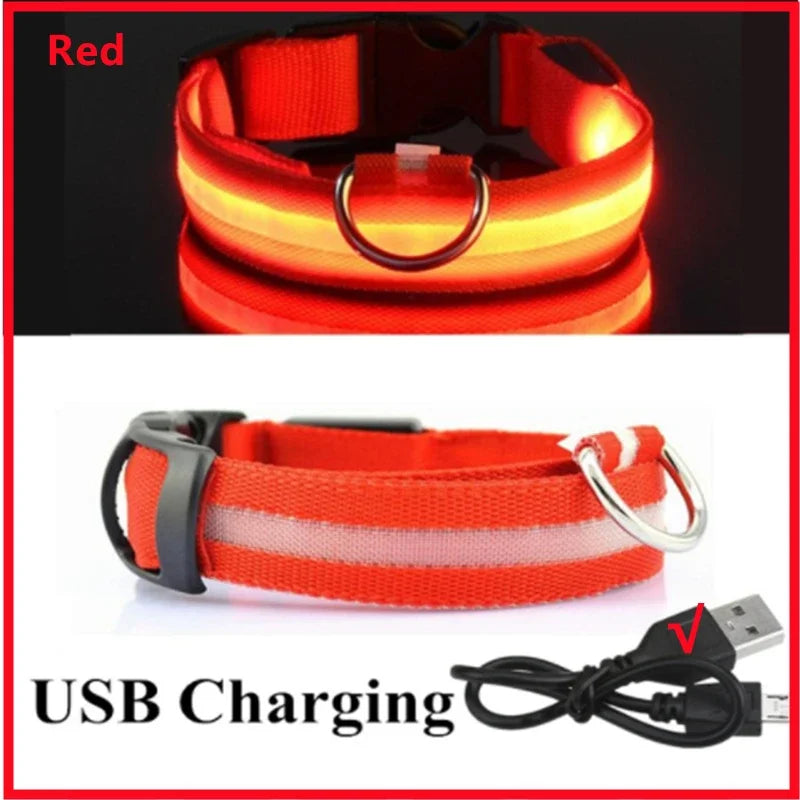 PetJoy LED Dog Collar