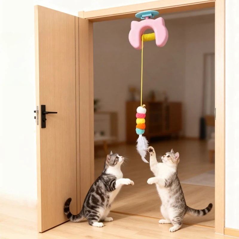 PetJoy Feather Toy