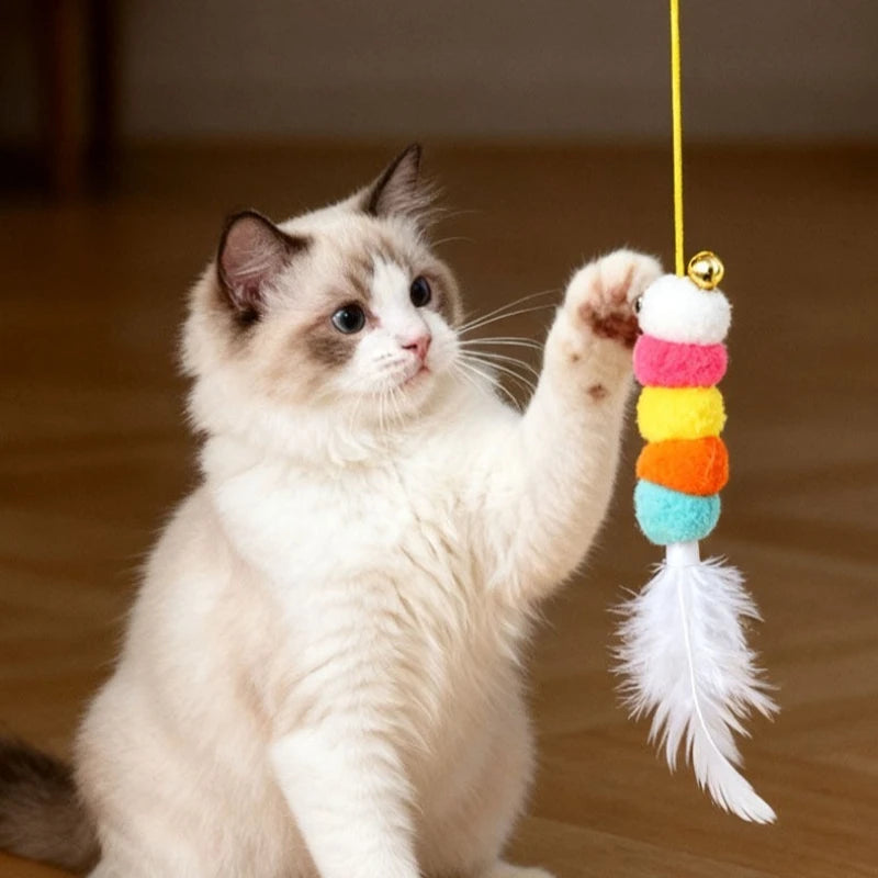 PetJoy Feather Toy