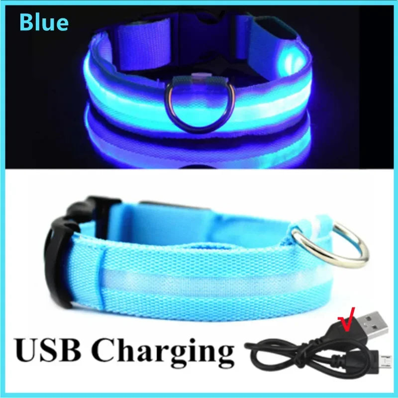 PetJoy LED Dog Collar