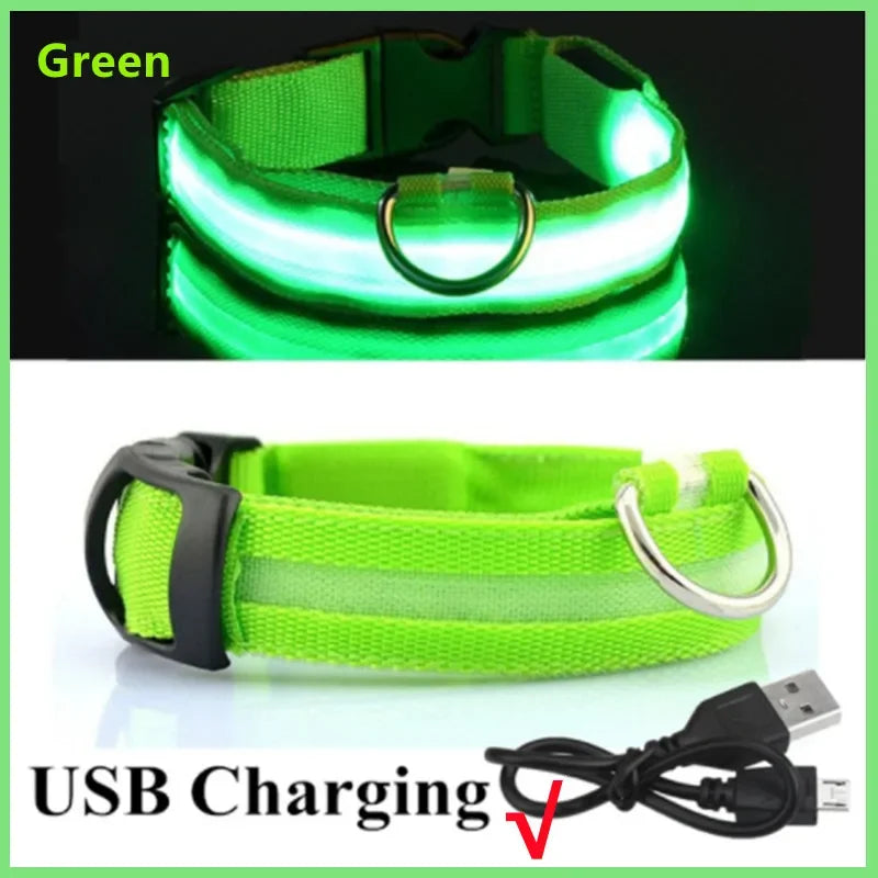 PetJoy LED Dog Collar