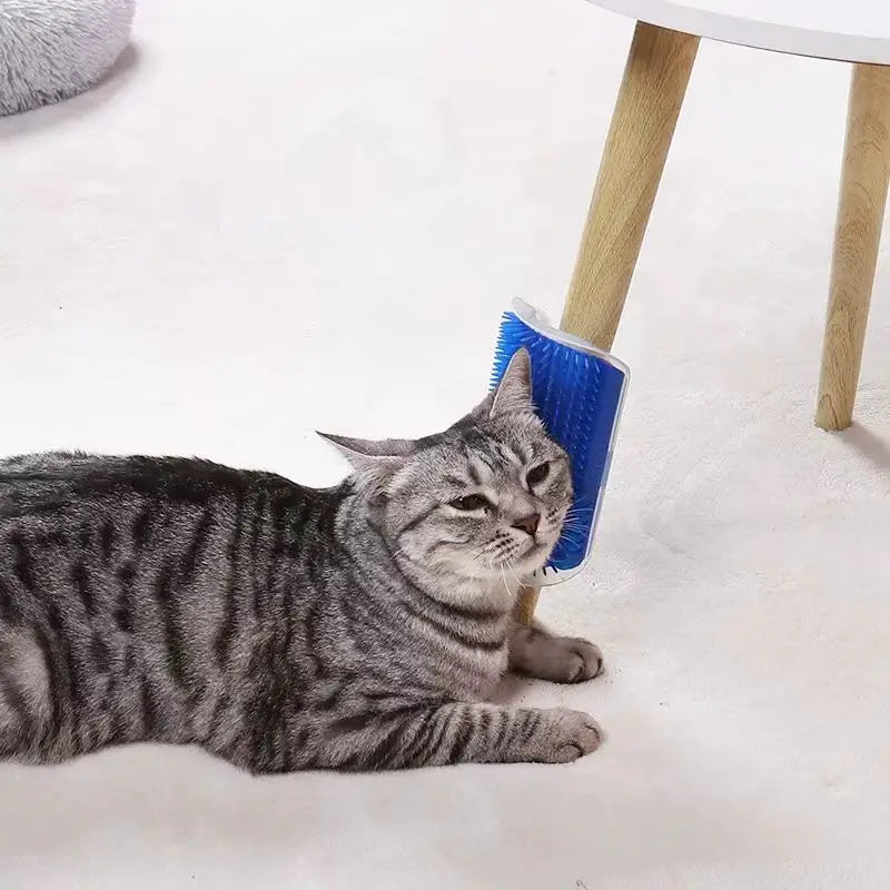 PetJoy Self-Grooming Cat Brush