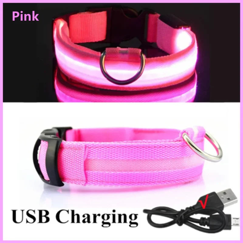 PetJoy LED Dog Collar