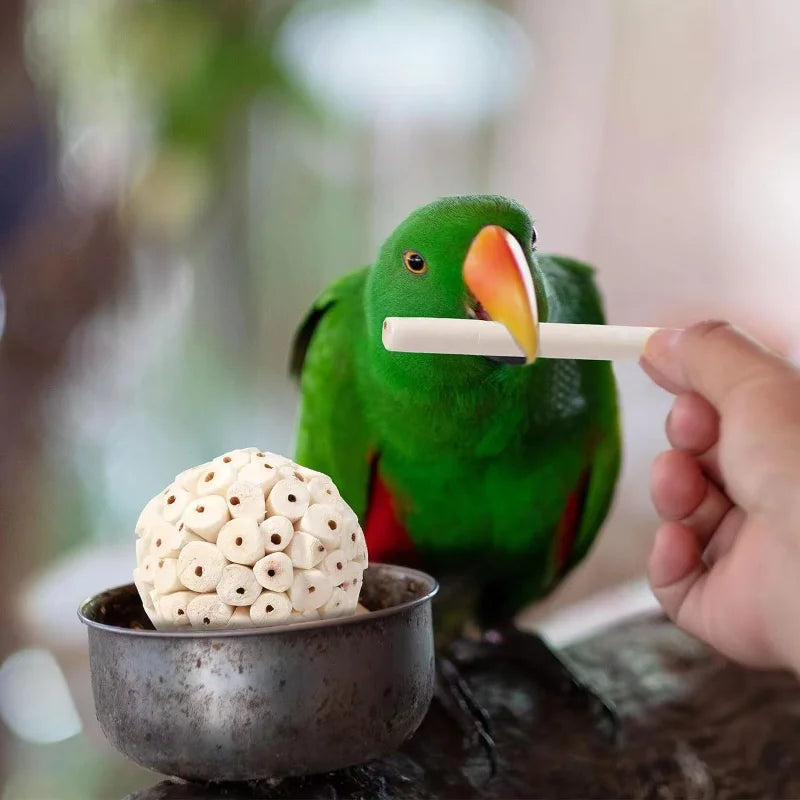 PetJoy Foraging Toy
