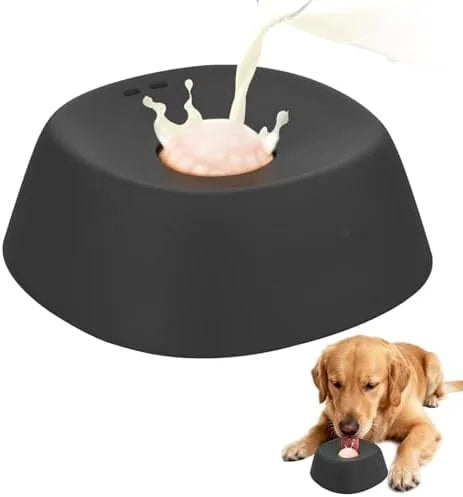 PetJoy Slow Feeder Bowl