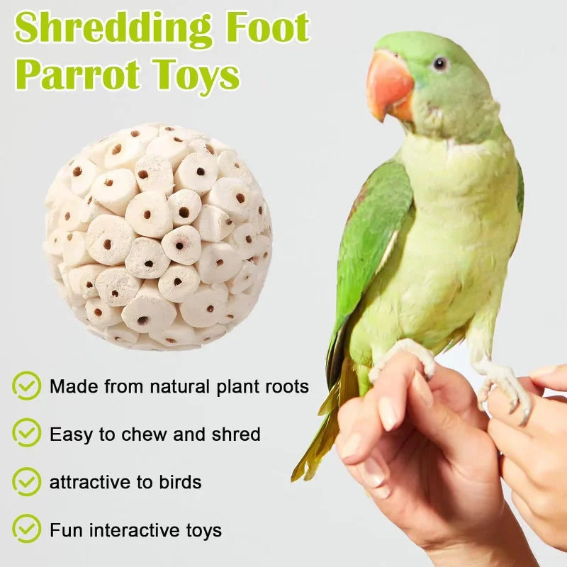 PetJoy Foraging Toy