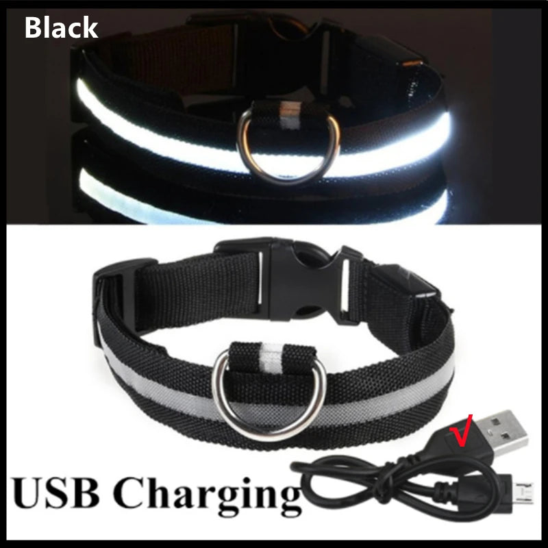 PetJoy LED Dog Collar