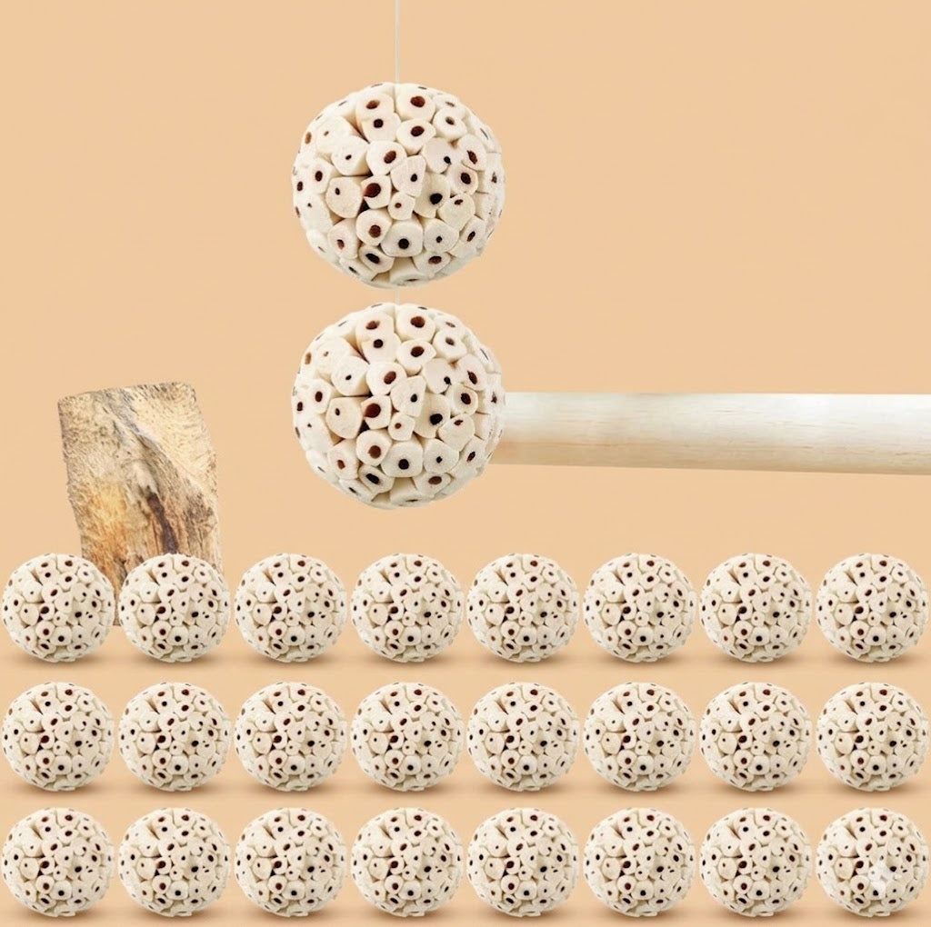 PetJoy Foraging Toy